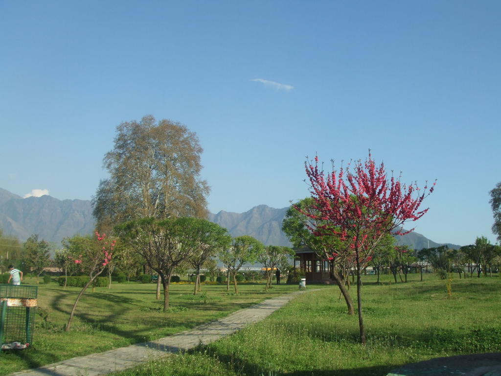 Houseboat Lily Of Nageen Srinagar  Luaran gambar